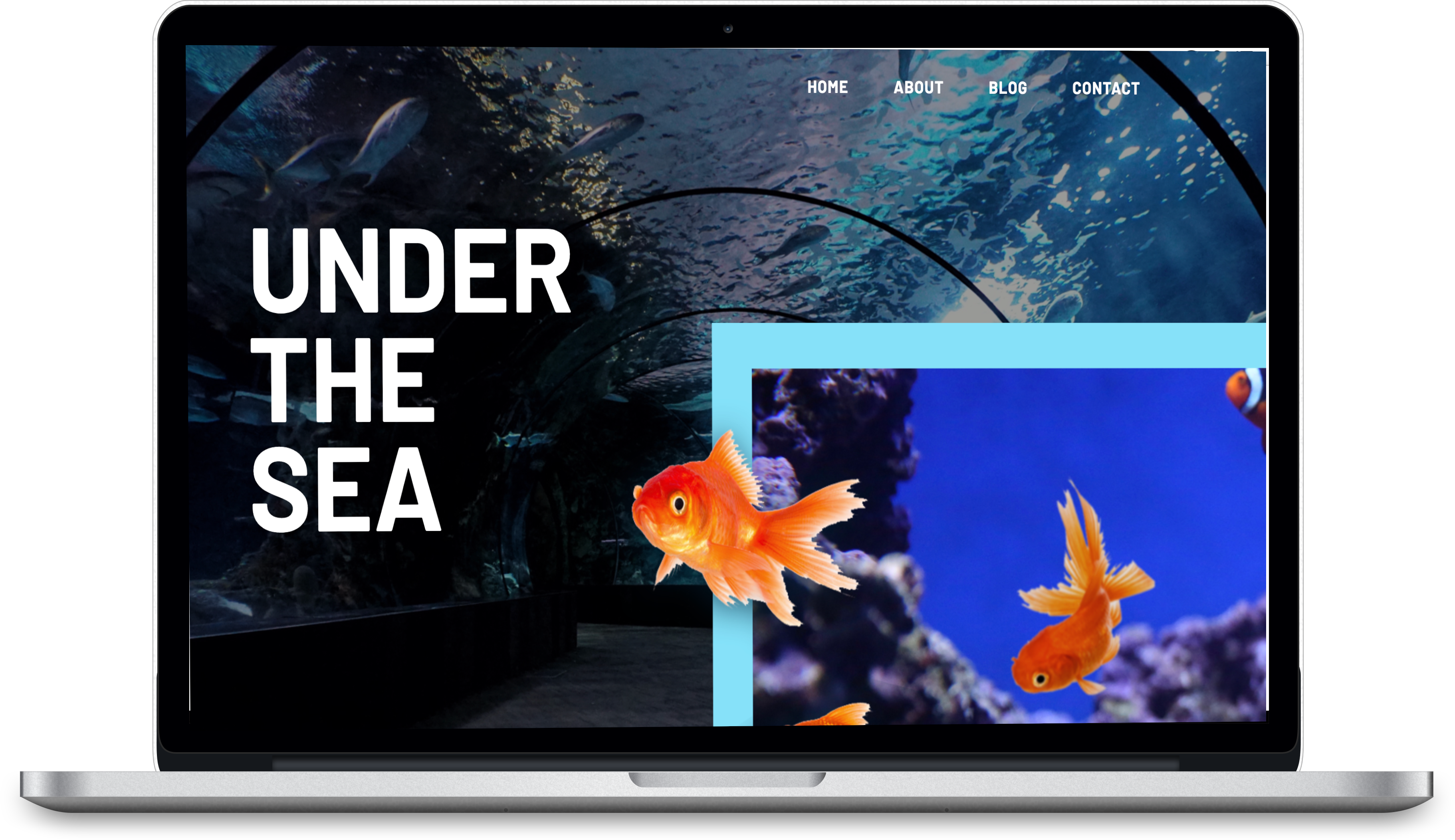 An image of website called under the sea its about aquarium